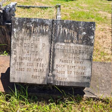 WHITE Andrew P. -1956 & Gertrude M. -1966