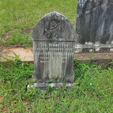 WOLFAARD Mathys Botha 1946-1947