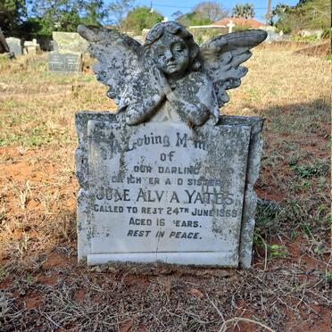 Y-Surnames :: Vanne-Y