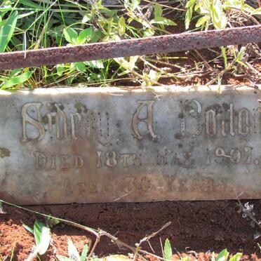 BOLTON Sidney A. -1907