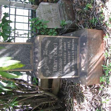 GILMOUR Mary Wardrop -1917