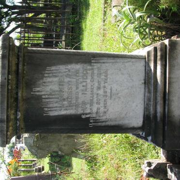 I - Surnames :: Vanne - I