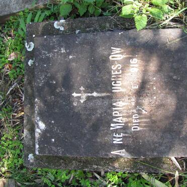 O - Surnames :: Vanne - O