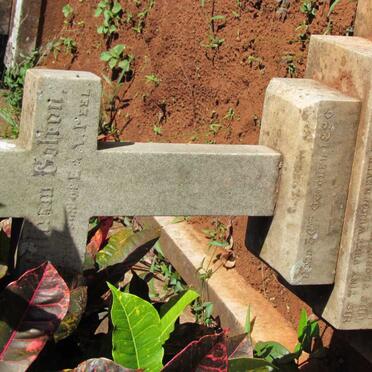 PEEL Willaim Colton -1896