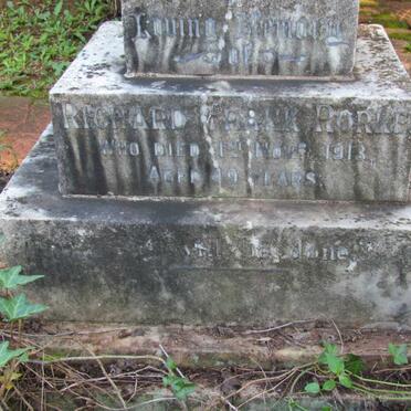 RORKE Richard Frank -1913