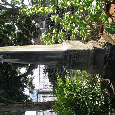 ROBINSON John Hofmeyr 1887-1888