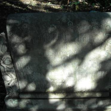 BUCKLE Percy Charles 1883-1954 &amp; Dora Emily :: CAMERON William Burnett 1907-1994 &amp; Verna BUCKLE 1920-1993