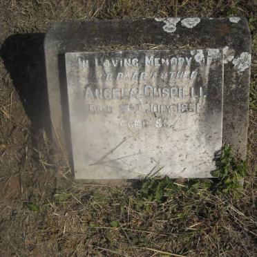 CUSPILLI Angela -195?