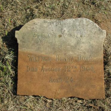 DORE Wilfred Henry -1900