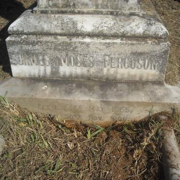 FERGUSON James Moses 1865-1909