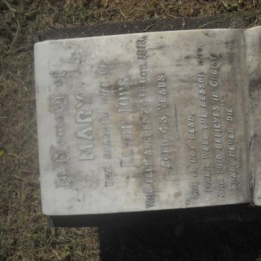 I - Surnames :: Vanne - I