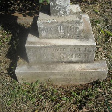 SCOTT Willie -1910
