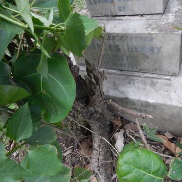 HUNTLY Charles Henry -1955