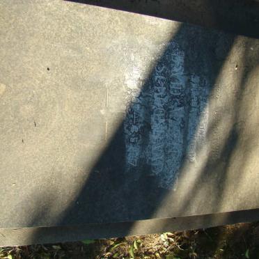 SCHOONRAAD David Martiens 1929-1967