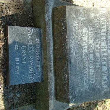 VEAR Walter Harry 1885-1955 
