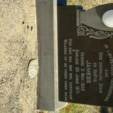 WEBB Jamesie 1950-1971