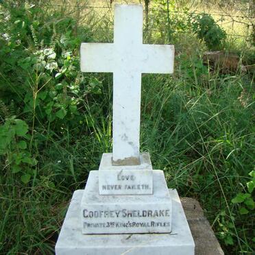 SHELDRAKE Godfrey -1900