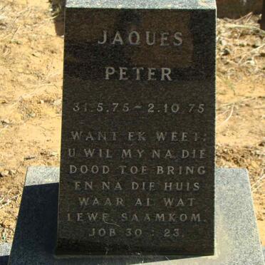 JACKSON Jaques Peter 1975-1975