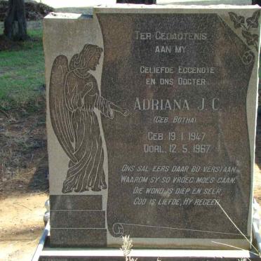 ? Adriana J.C. nee BOTHA 1947-1967