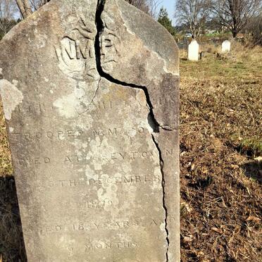 1. Unknown :: Illegible graves