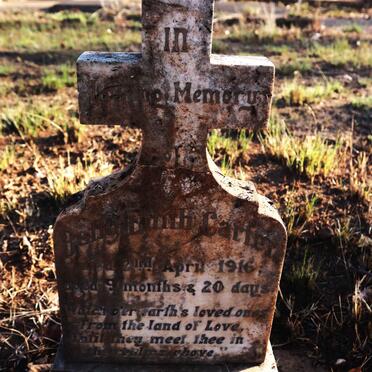 CARTER Betty Edith -1916