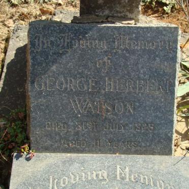 WATSON George Herbert - 1929