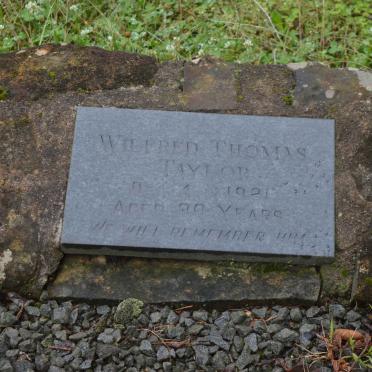 TAYLOR Wilfred Thomas -1921
