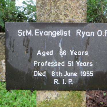 RYAN Evangelist -1955