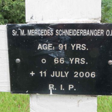 SCHNEIDERBANGER Mercedes -2006