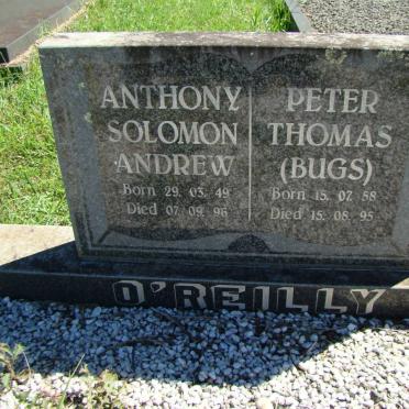 O'REILLY Anthony Solomon Andrew 1949-1996 :: O'REILLY Peter Thomas 1958-1995