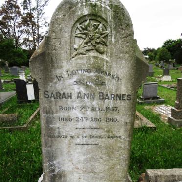 BARNES Sarah Ann 1847-1910