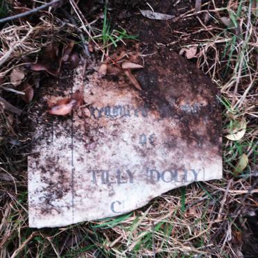 CLARKE Tilly