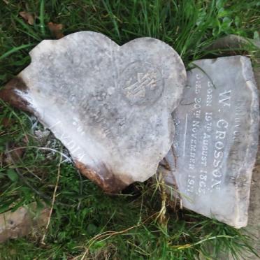CROSSON Lydia 1868-1911