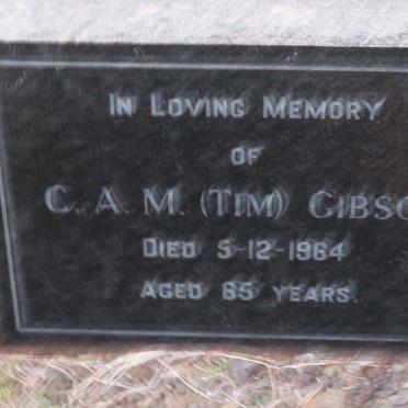 GIBSON C.A.M. -1964