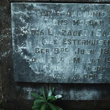 SAAYMAN Maria Elizabeth nee ESTERHUIZEN 1888-1942