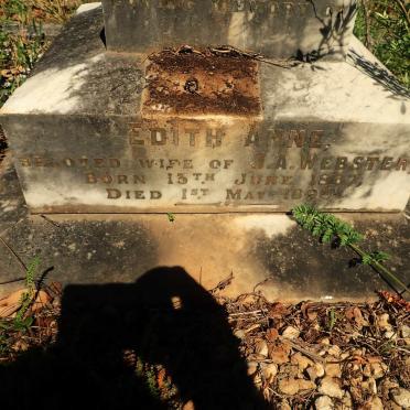 WEBSTER Edith Anne 1867-189?