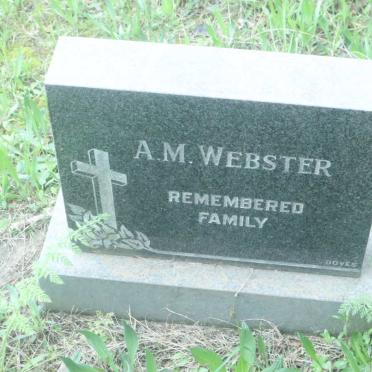 WEBSTER A.M.