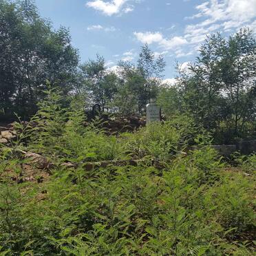 Kwazulu-Natal, KLIPRIVIER district, Van Reenen, The Reproach 4237_2, farm cemetery