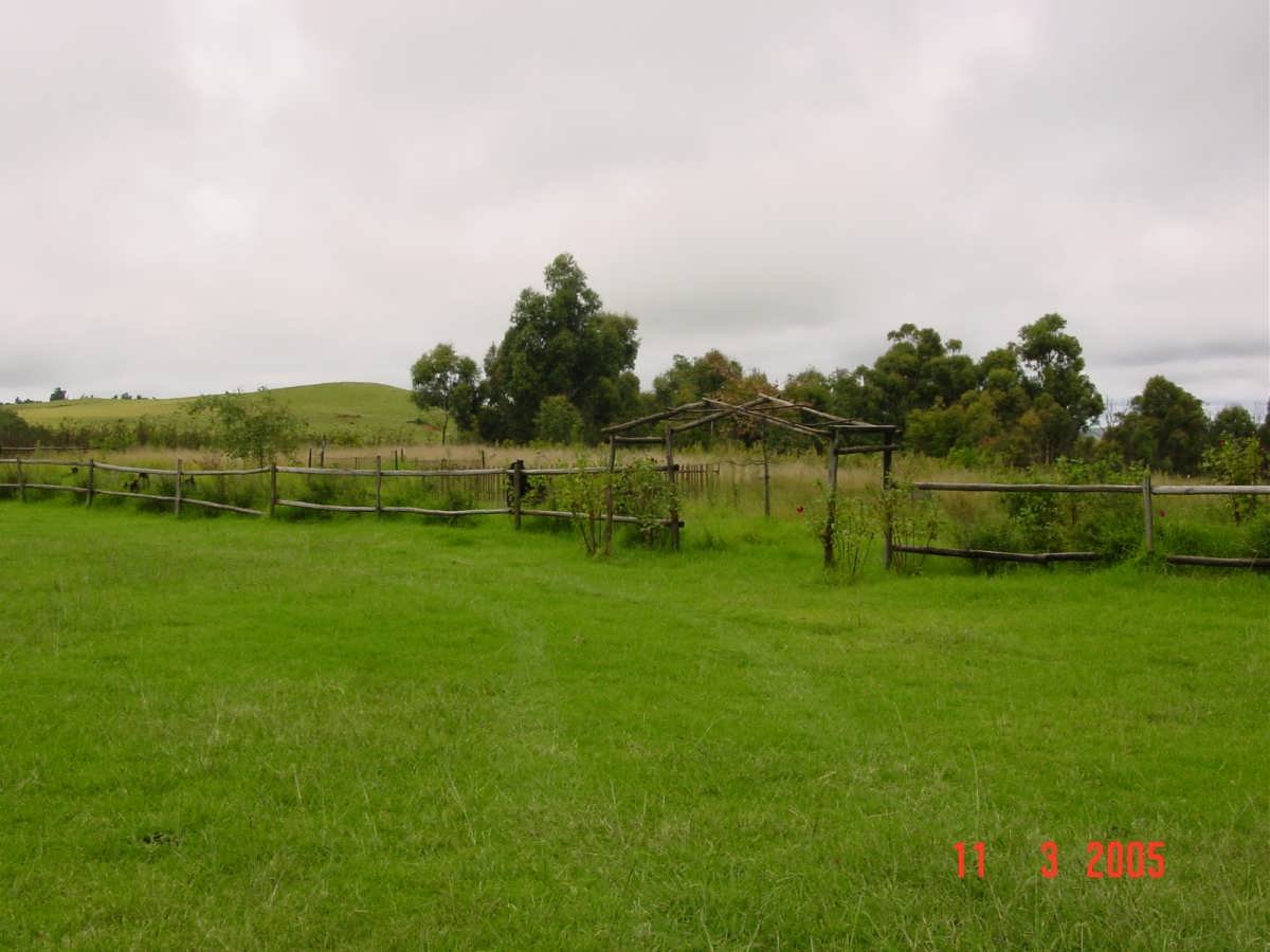 1. Overview of Van Reenen - Main Cemetery