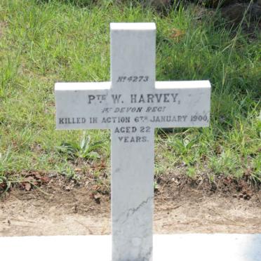 HARVEY W. -1900