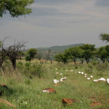 Kwazulu-Natal, KLIPRIVIER district, Ladysmith, Wagon Hill, British Military memorials