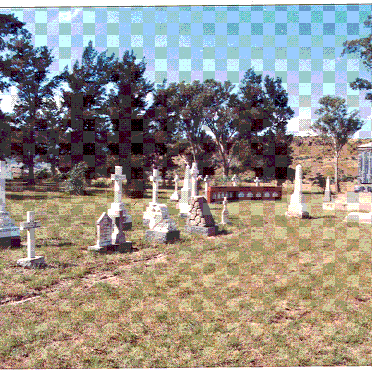 1. Overview