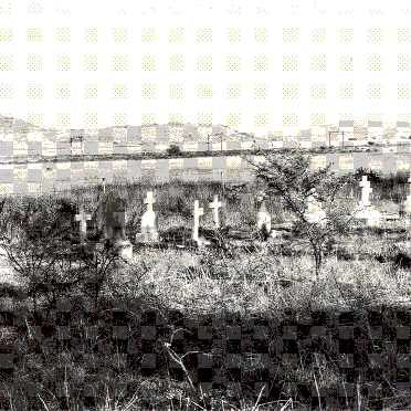3. Overview
