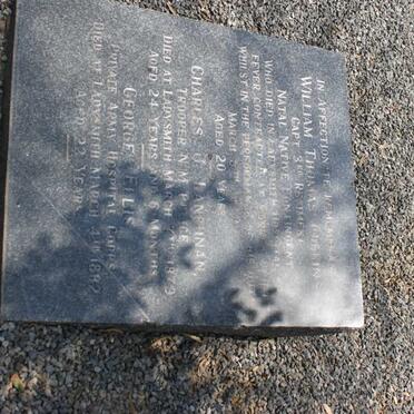 GUBBINS William Thomas -1879 :: LANCHNAN Charles J. -1879 :: ELLIS George -1882