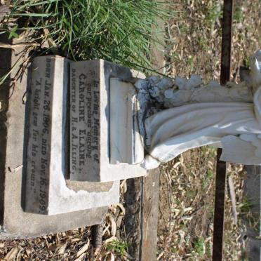 ILLING Caroline Elaine 1906-1909