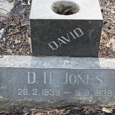 J - Vanne :: Surnames - J