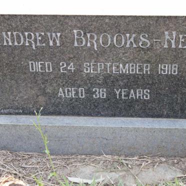 NEILL Andrew, BROOKS -1918