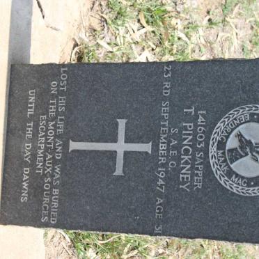 PINCKNEY T.  -1947