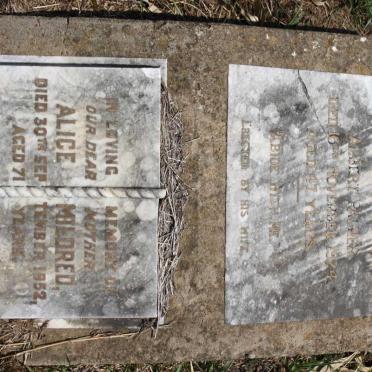 PALMER Albert -1924 &amp; Alice Mildred -1952