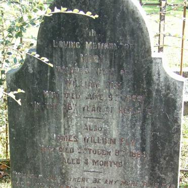 PLY Mary -1888 :: PLY James William -1888